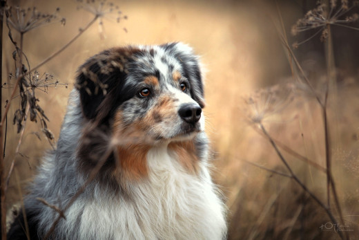 1756034 (a): :3000x2000